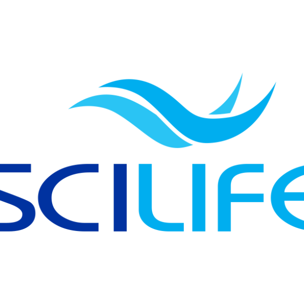 logo-with-stroke2